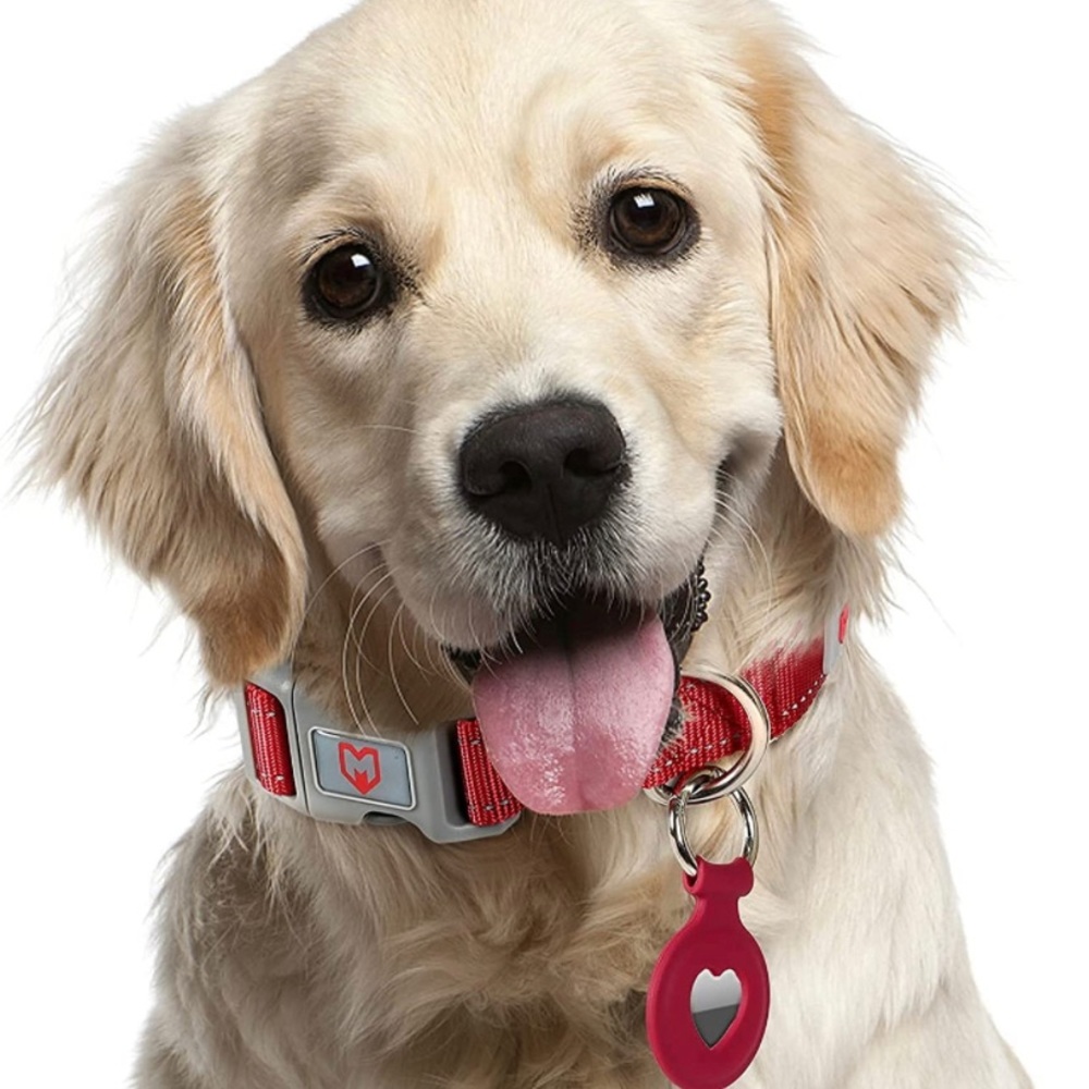 Dog Collar - Picture 5 of 5